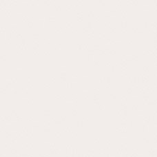 Acrylic and Matte Finish - Shell