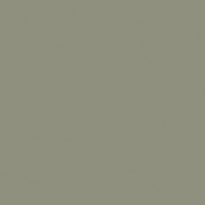 Acrylic and Matte Finish - Rainforest